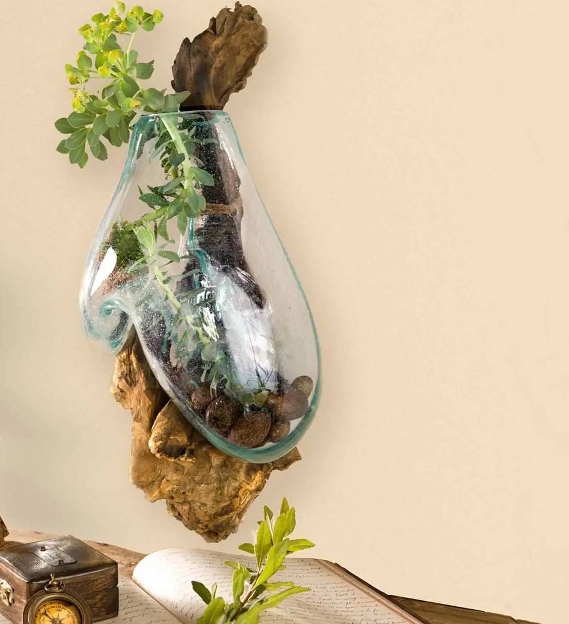 PRE-ORDER | Blown Glass With Teak Wall Planter Home Decor - X Large Size