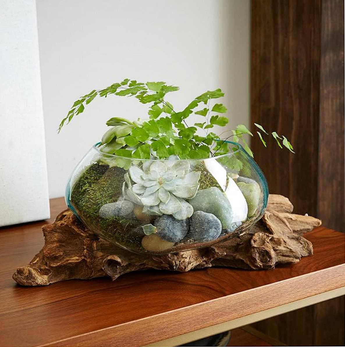 PRE-ORDER | Molten Blown Glass Wood Teak Planter Fruit Bowl