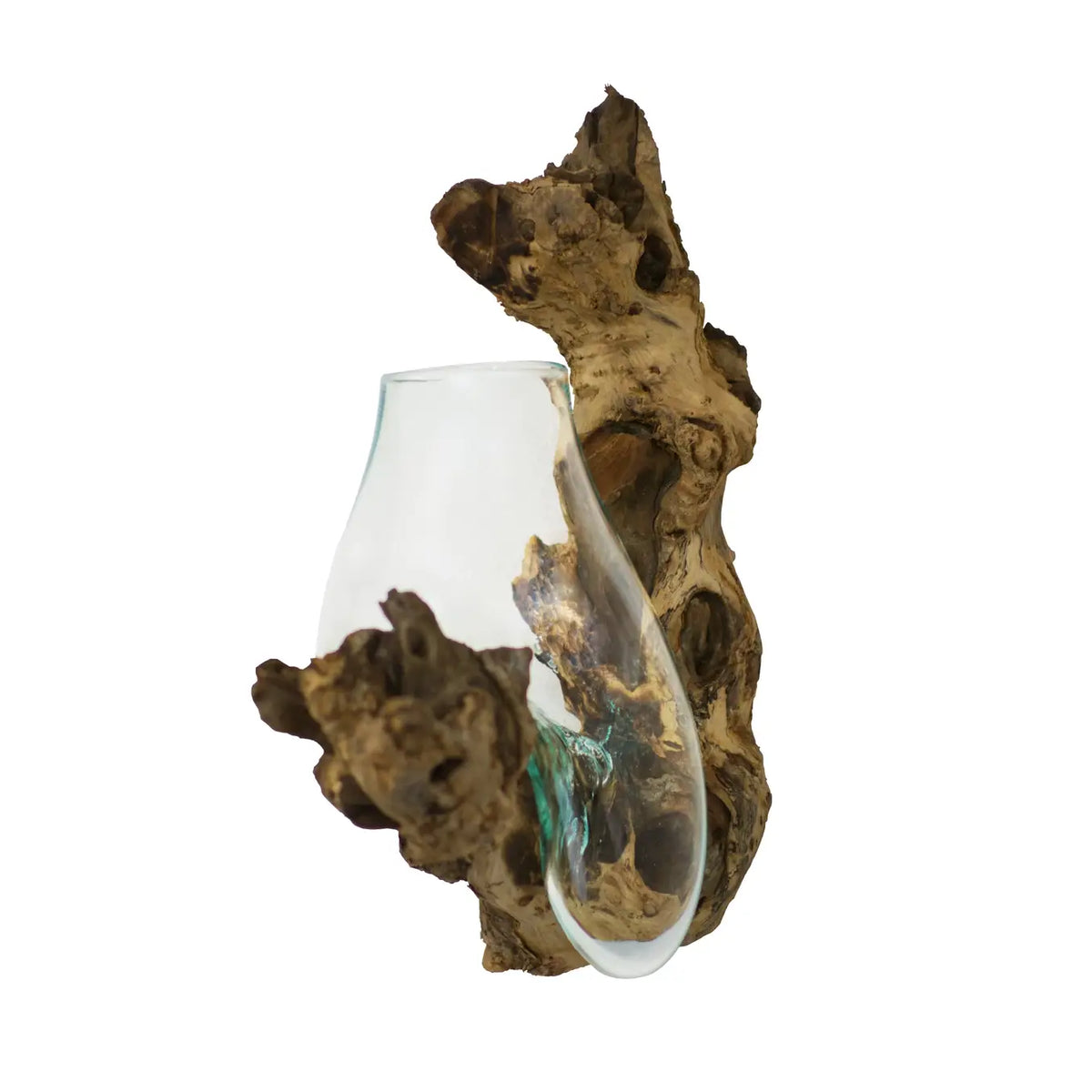 PRE-ORDER | Blown Glass With Teak Wall Planter Home Decor - X Large Size